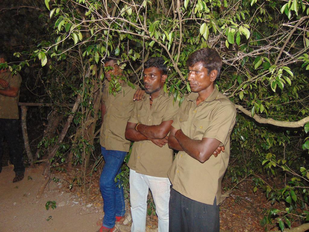 Hidden Jungle Village Wilpattu Exterior foto