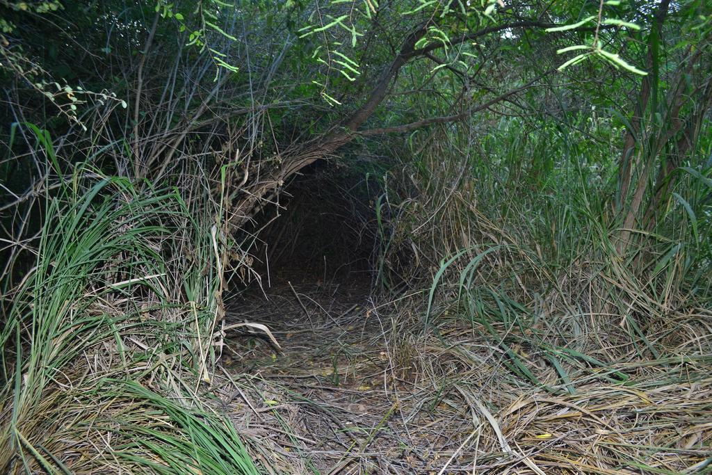 Hidden Jungle Village Wilpattu Exterior foto