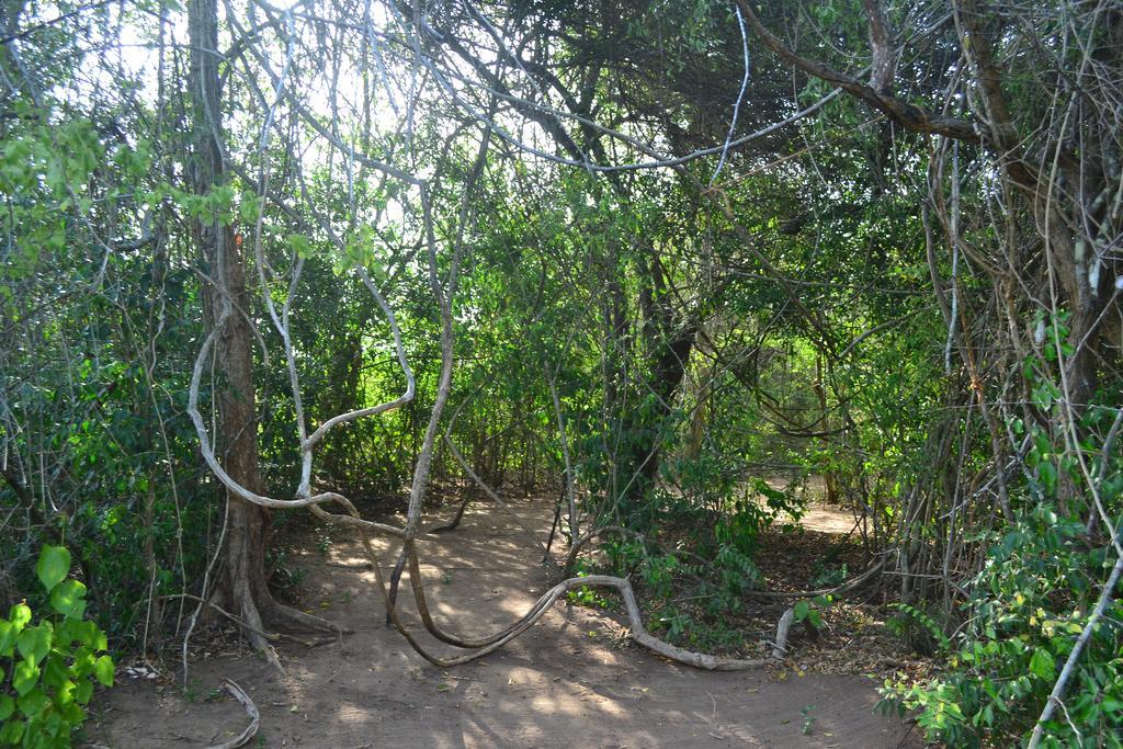 Hidden Jungle Village Wilpattu Exterior foto