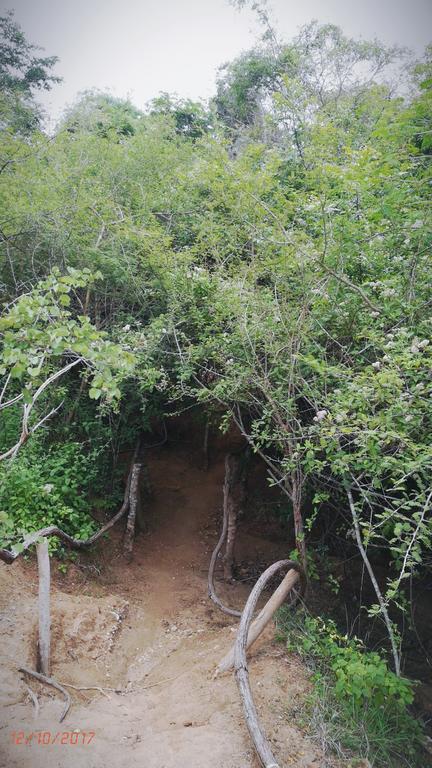 Hidden Jungle Village Wilpattu Exterior foto