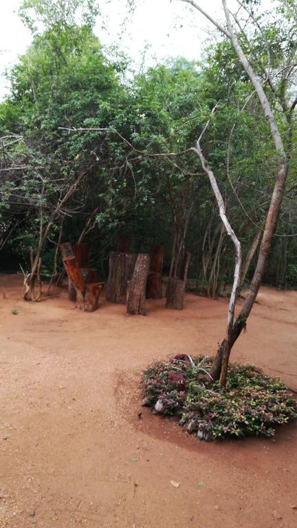 Hidden Jungle Village Wilpattu Exterior foto